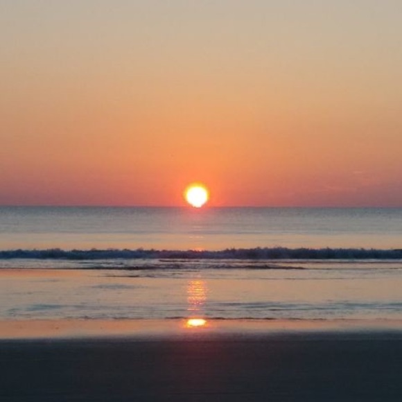 Meet your Posher, Roza - Picture 1 of 1